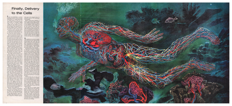 Illustration for article titled These medical illustrations are surrealist masterpieces